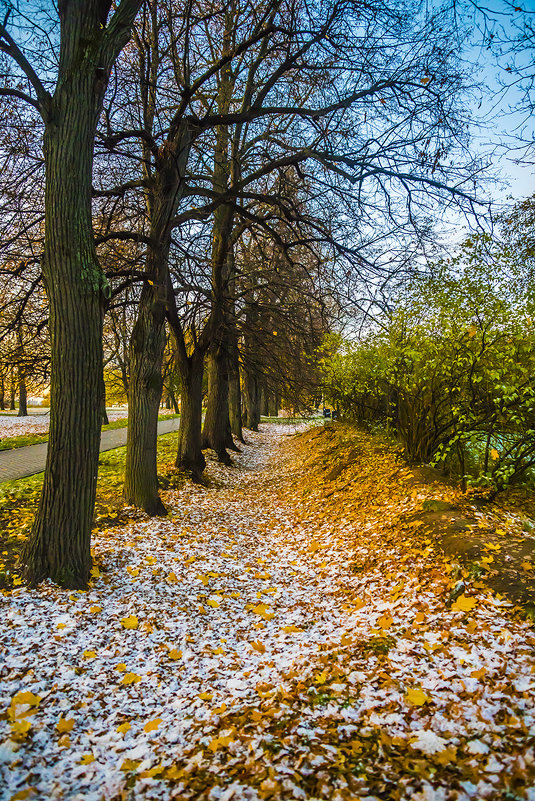 Москва, Коломенское - Игорь Герман