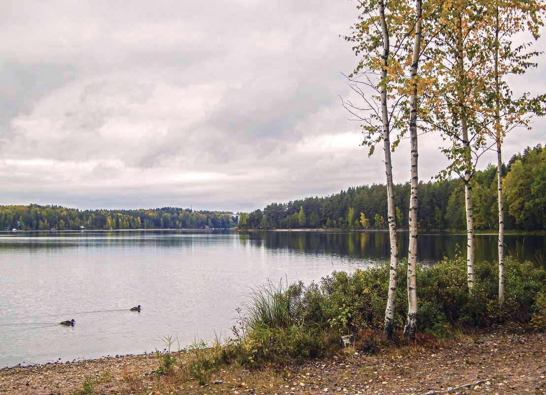 Страна Suomi. Озеро Сайма. - Лариса (Phinikia) Двойникова