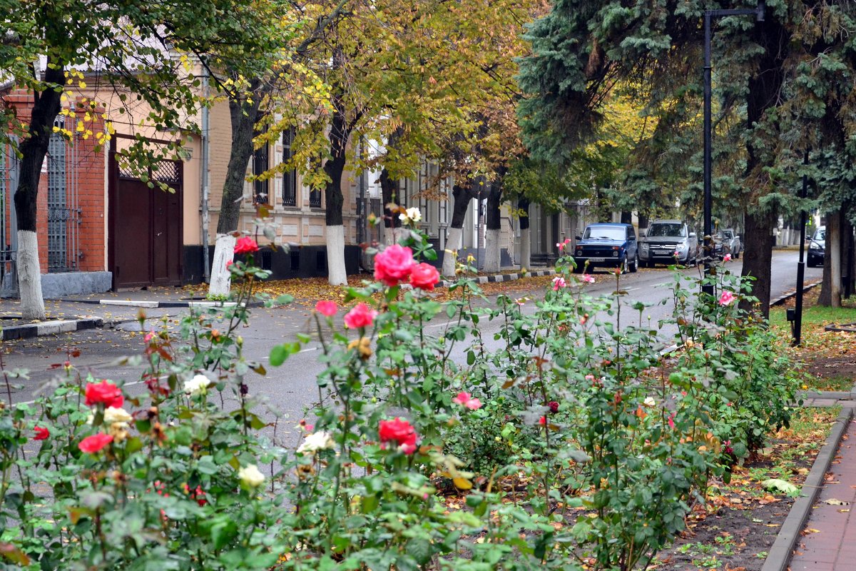 Осенний город - Владимир Болдырев