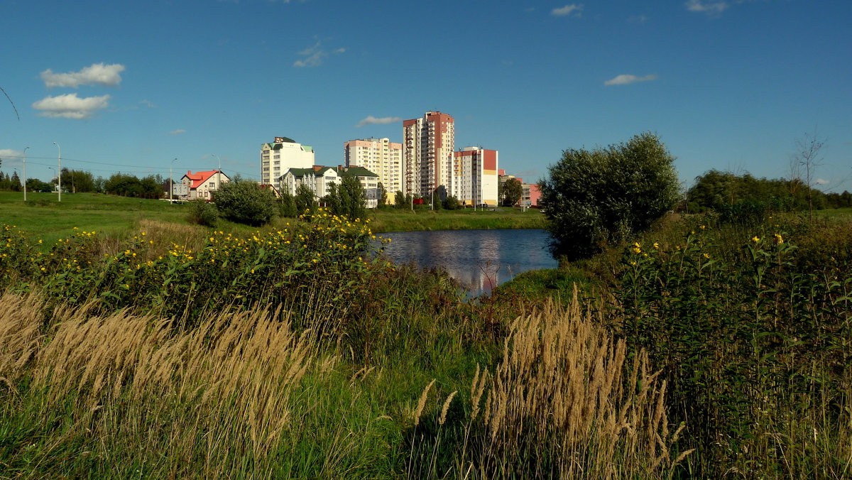 городское озерор - Александр Прокудин