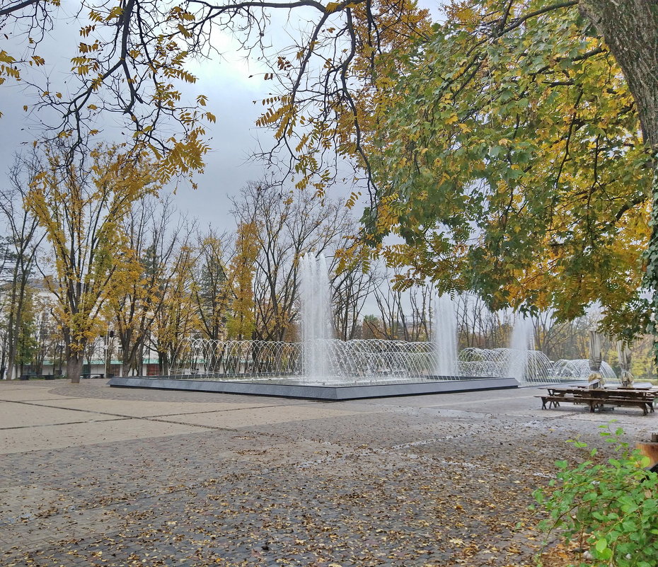 октябрьские фонтаны в дождливый день - Алексей Меринов
