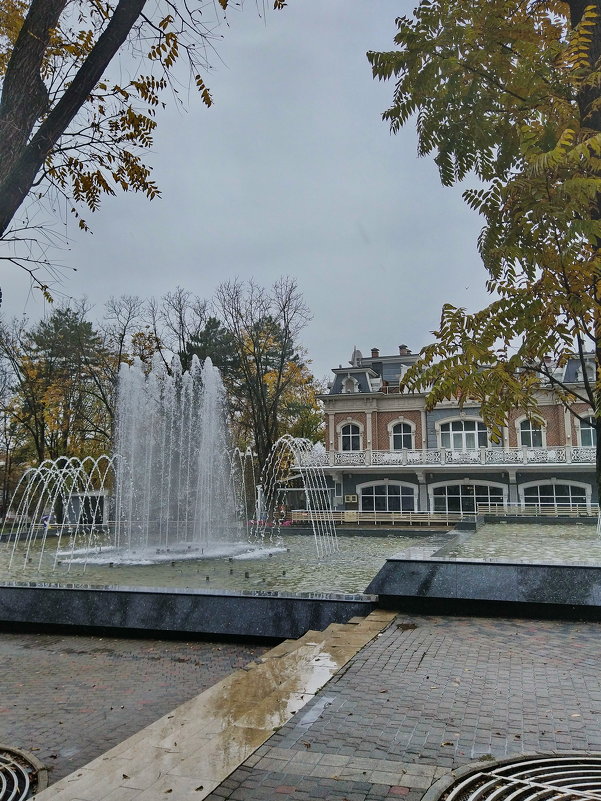 октябрьские фонтаны в дождливый день - Алексей Меринов