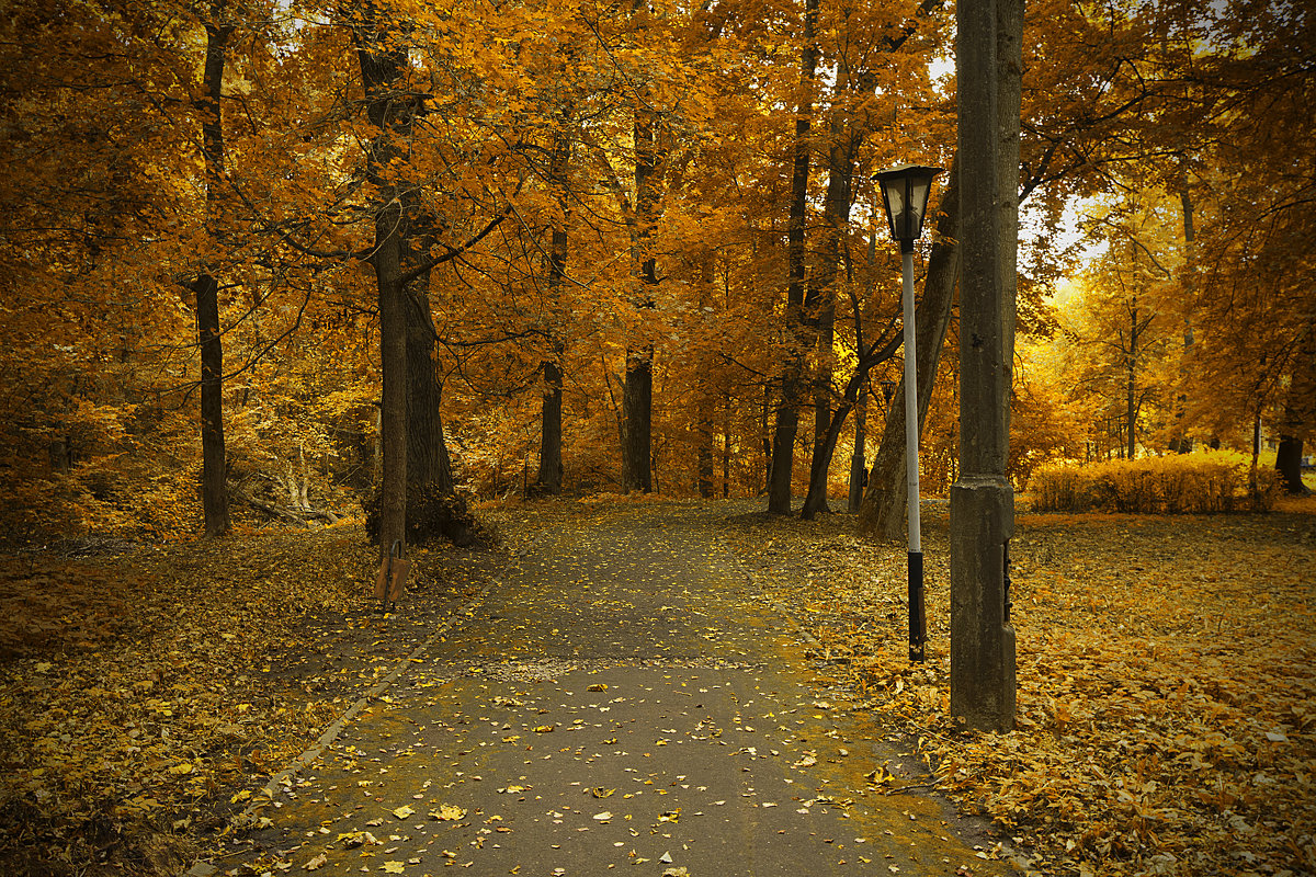 Осень в старом парке - Юрий Кузнецов
