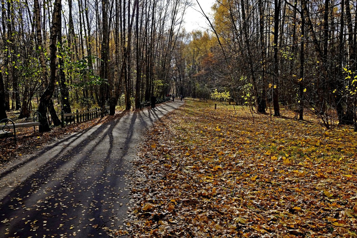 Осень в парке - Михаил Рогожин