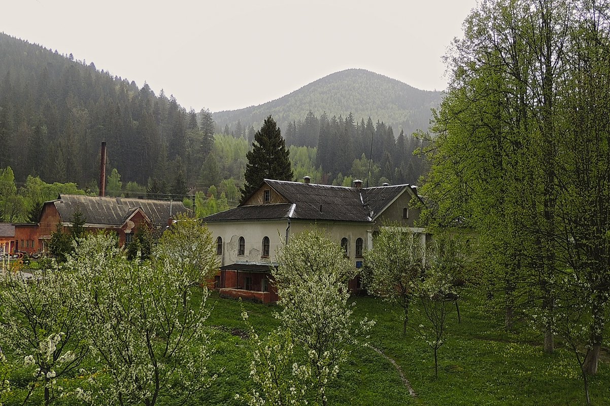 В Караптах - Роман Савоцкий