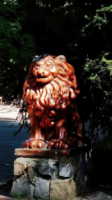 Красный китайский лев - Владимир Бровко