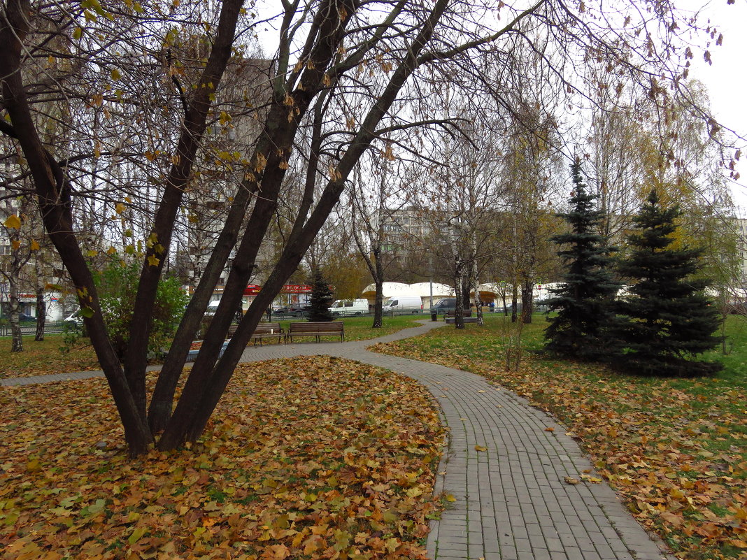 Глубокая осень почти не цветная - Андрей Лукьянов