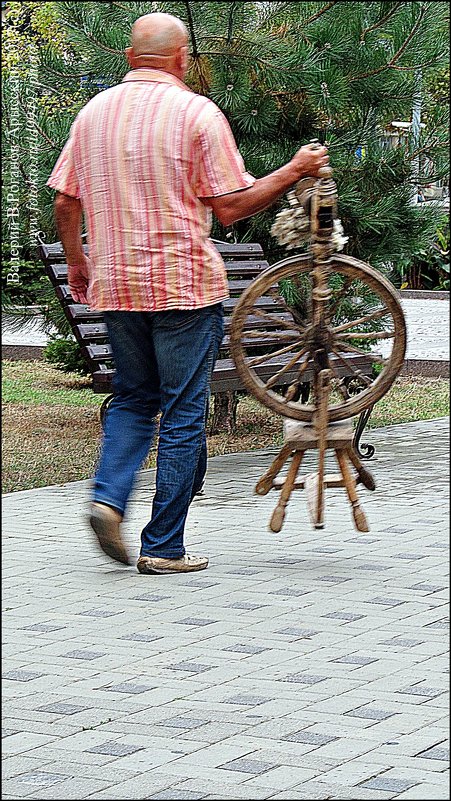 БЕЗ КОММЕНТАРИЕВ... - Валерий Викторович РОГАНОВ-АРЫССКИЙ