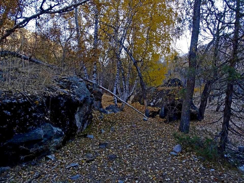 ДОЛИНА ОЙГАИНГА. - Виктор Осипчук