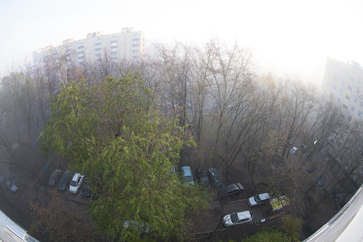 Москва в тумане - Игорь Герман