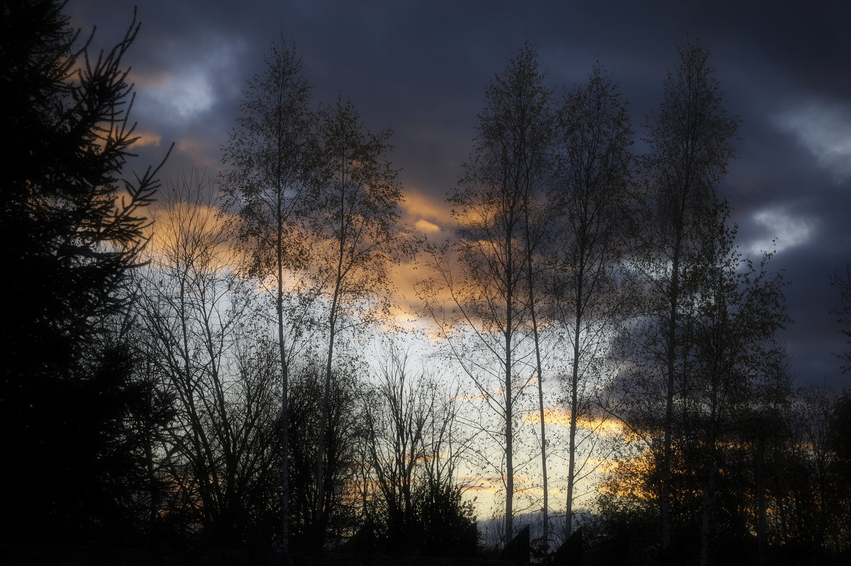 Облако на закате - Николай Алексеев
