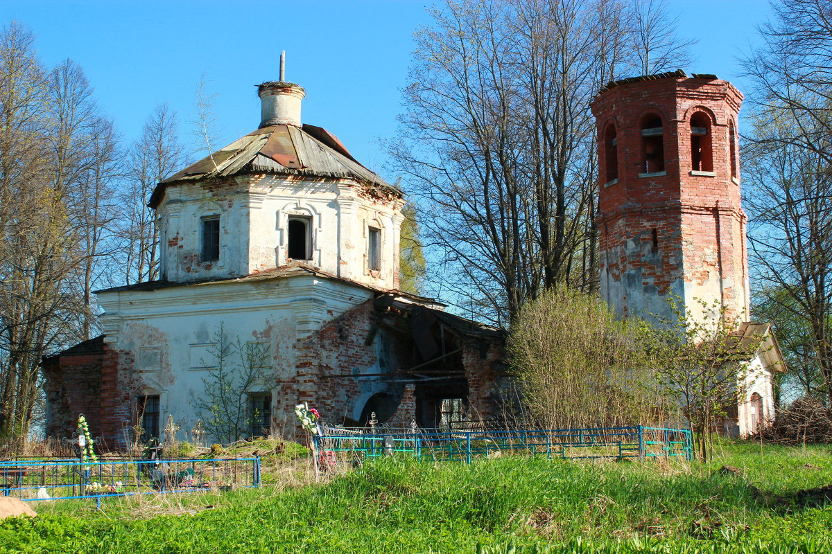 деревня Романщина, Лужский район - Александр 