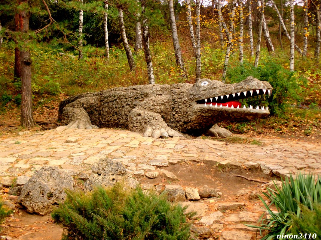 Крокодил из Долины роз - Нина Бутко