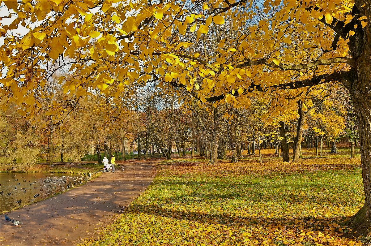 Золотая осень в Гатчине... - Sergey Gordoff