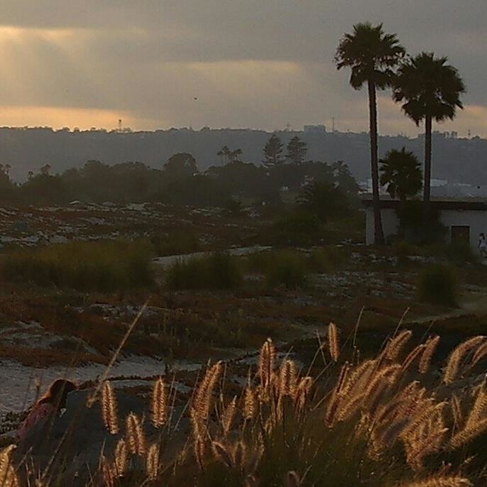 Coronado Beach. Сан Диего, Калифорния - Elena Dolotov 