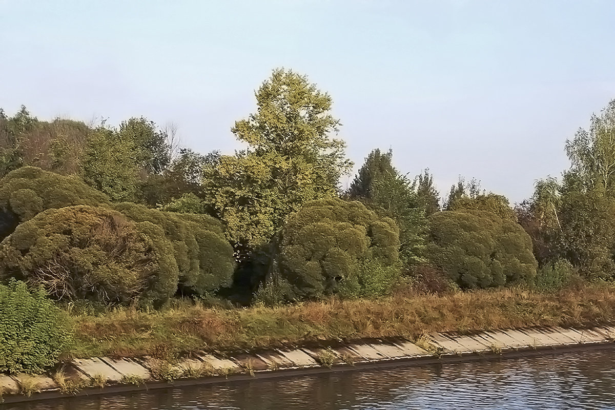 Осень на канале - Nikolay Monahov