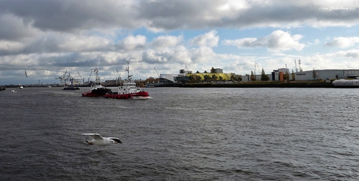 Hafen Hamburg - Nina Yudicheva