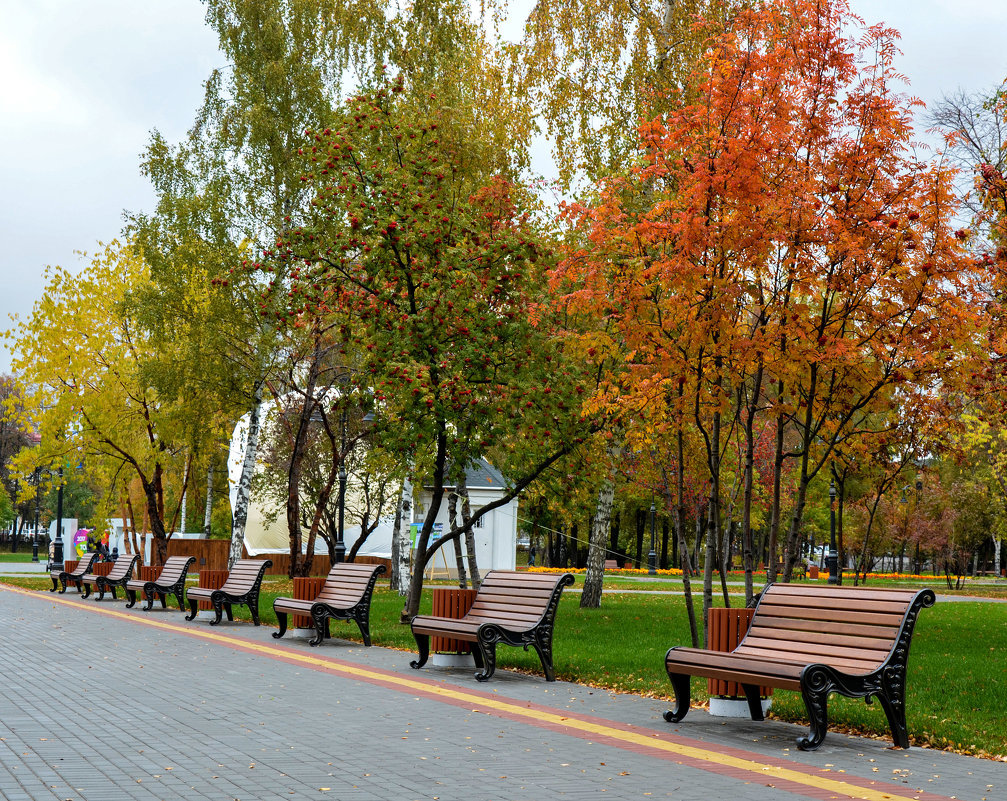 Осень в парке. - Александр Рябуха