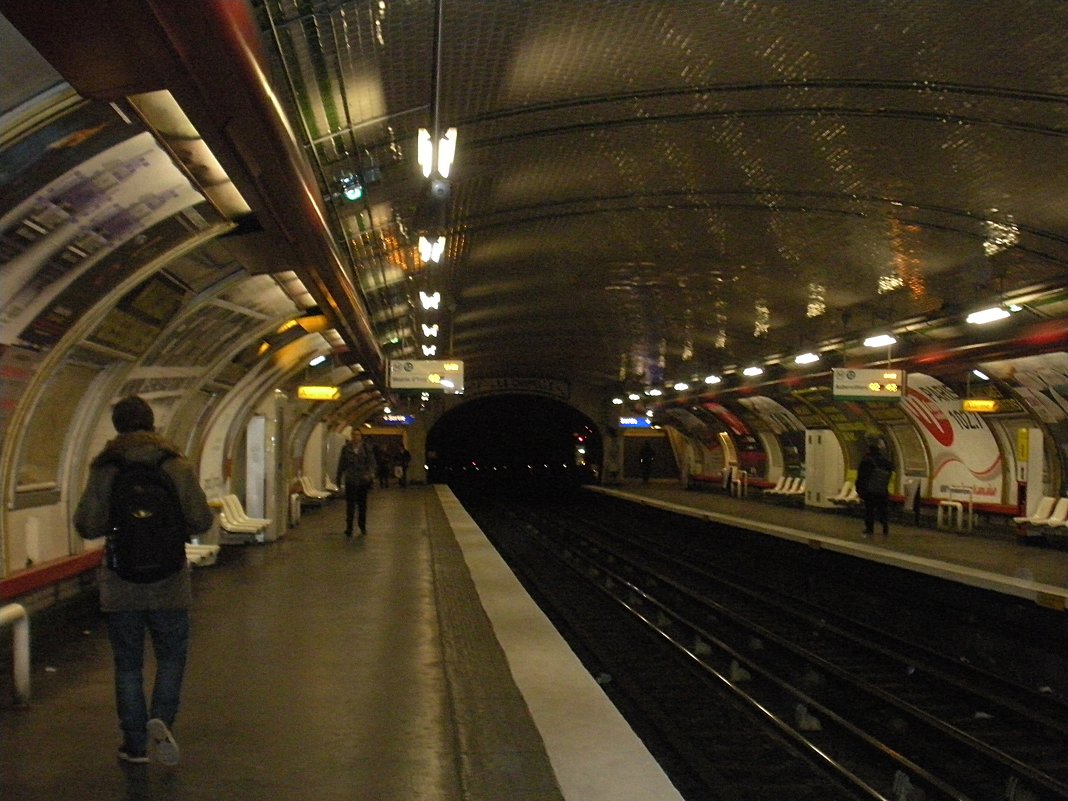 Парижское  метро ещё тогда ,когда не надо  было перешагивать через мусор и  чьи  то  ноги. - Виталий Селиванов 