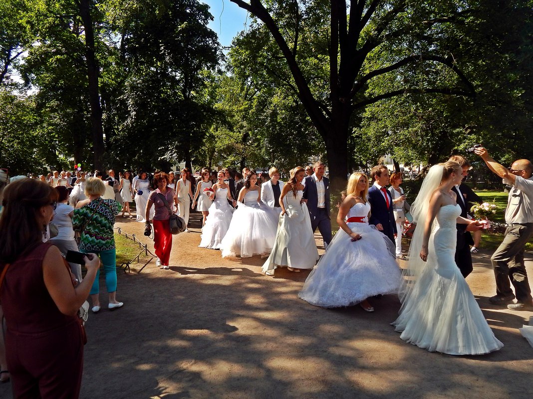 Парад невест. - Виктор Егорович