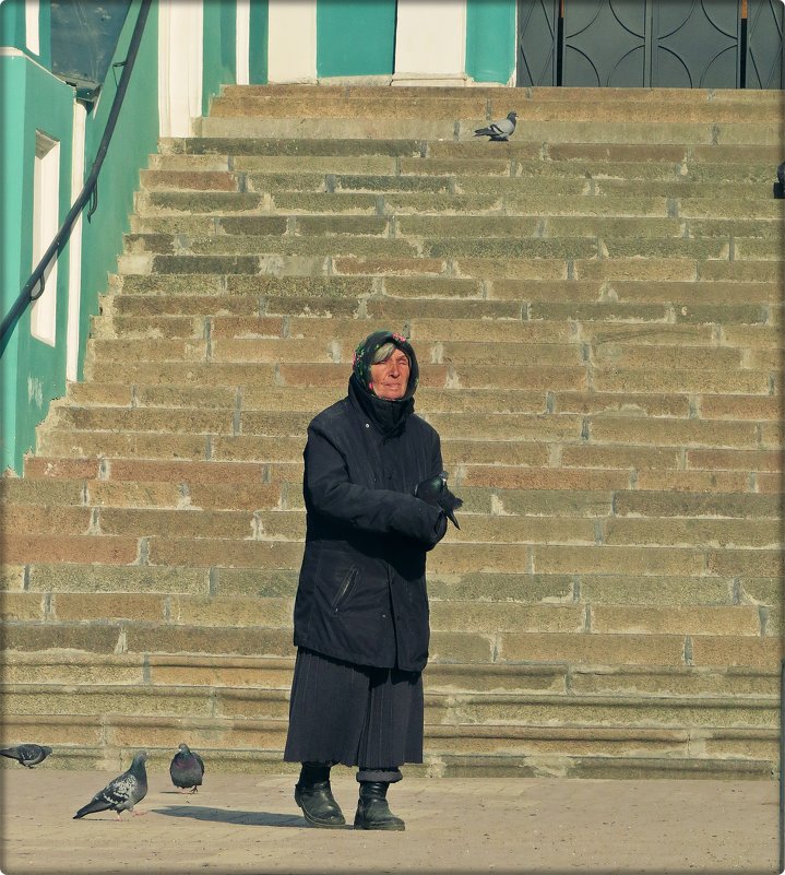 Слепая старушка кормит голубей.... - Елена Швецова