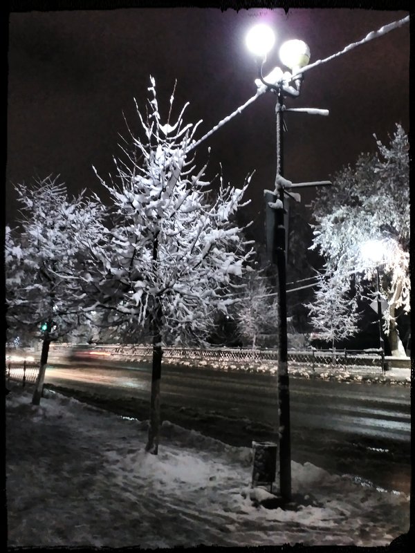 Ночь. Улица. Зима. Фонарь - Николай Варламов