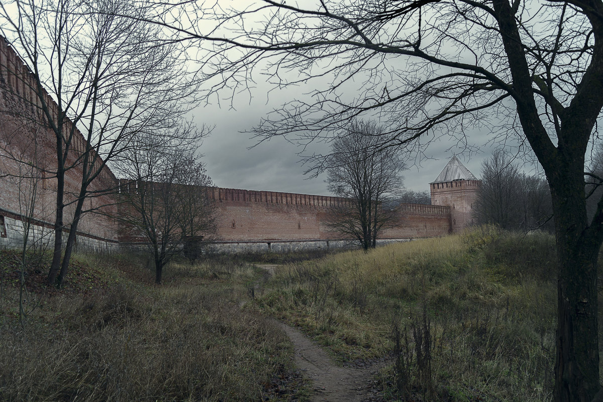 Крепостная стена, Смоленск - Woodoo mooroo