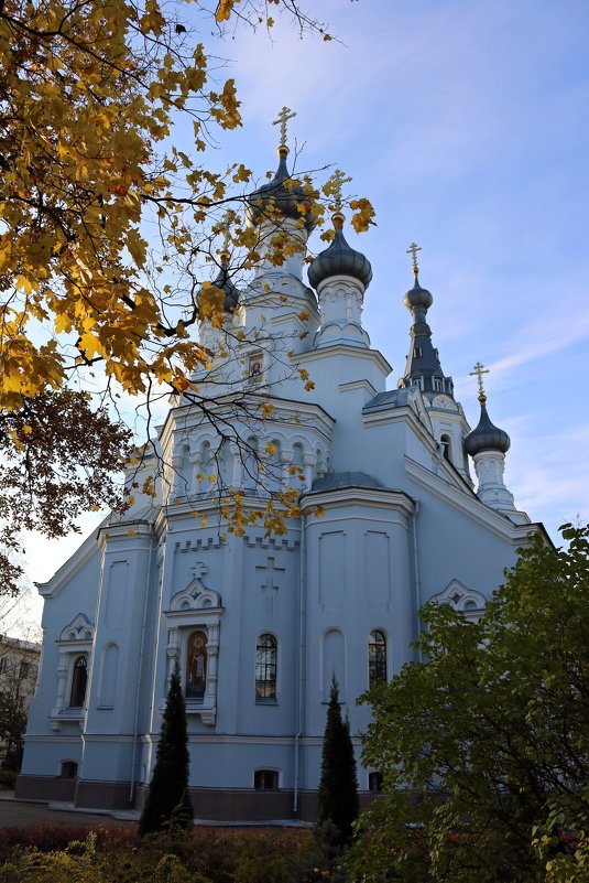 Владимирский собор - Ольга 