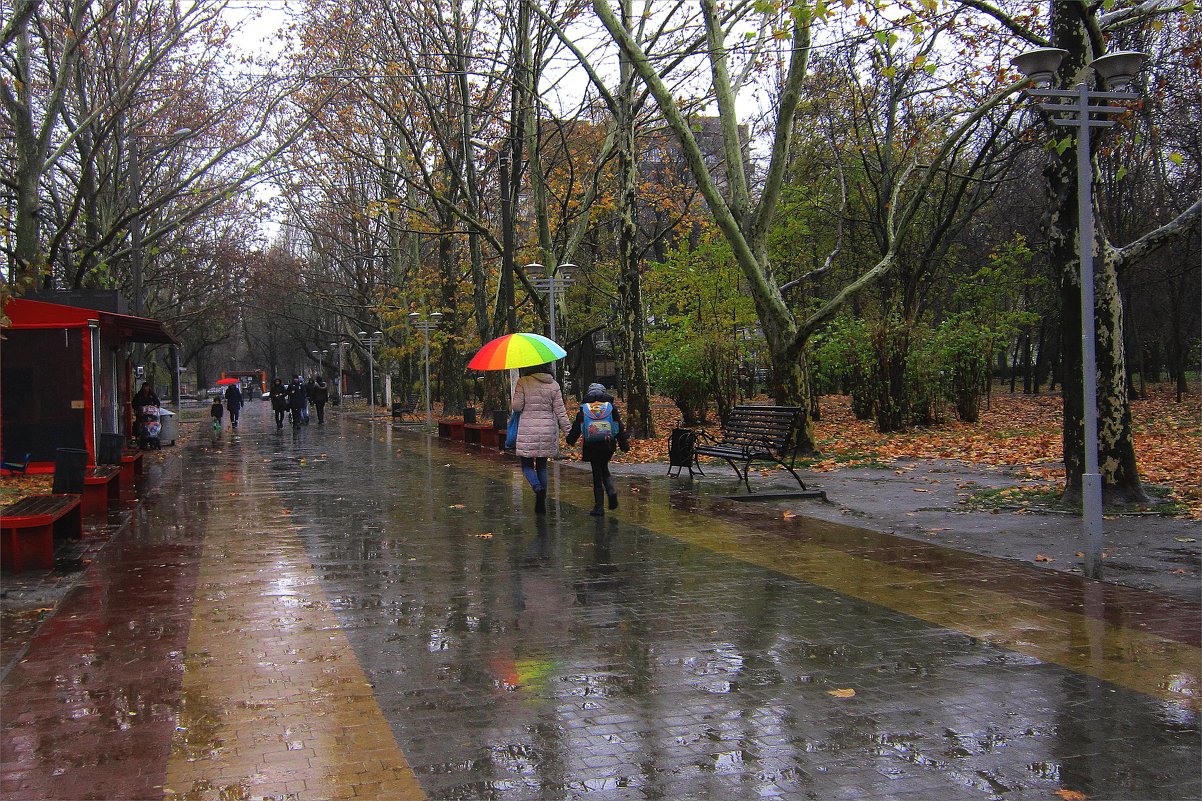В городе дождь - Людмила 