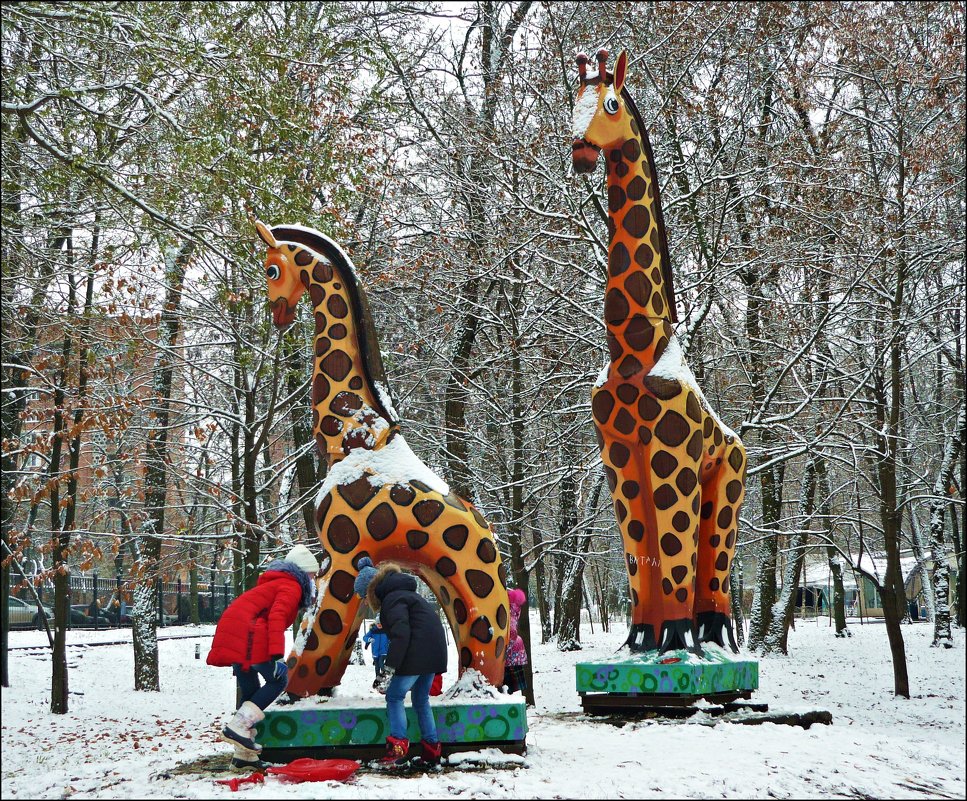 А вы видели жирафа в снегу? - Надежда 