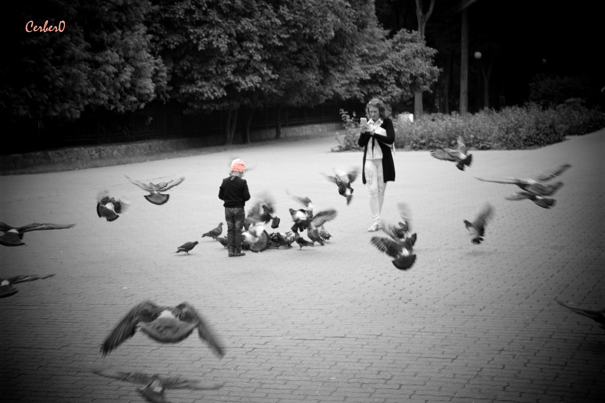 маленькая девочка кормит голубей - Олег Губаревич