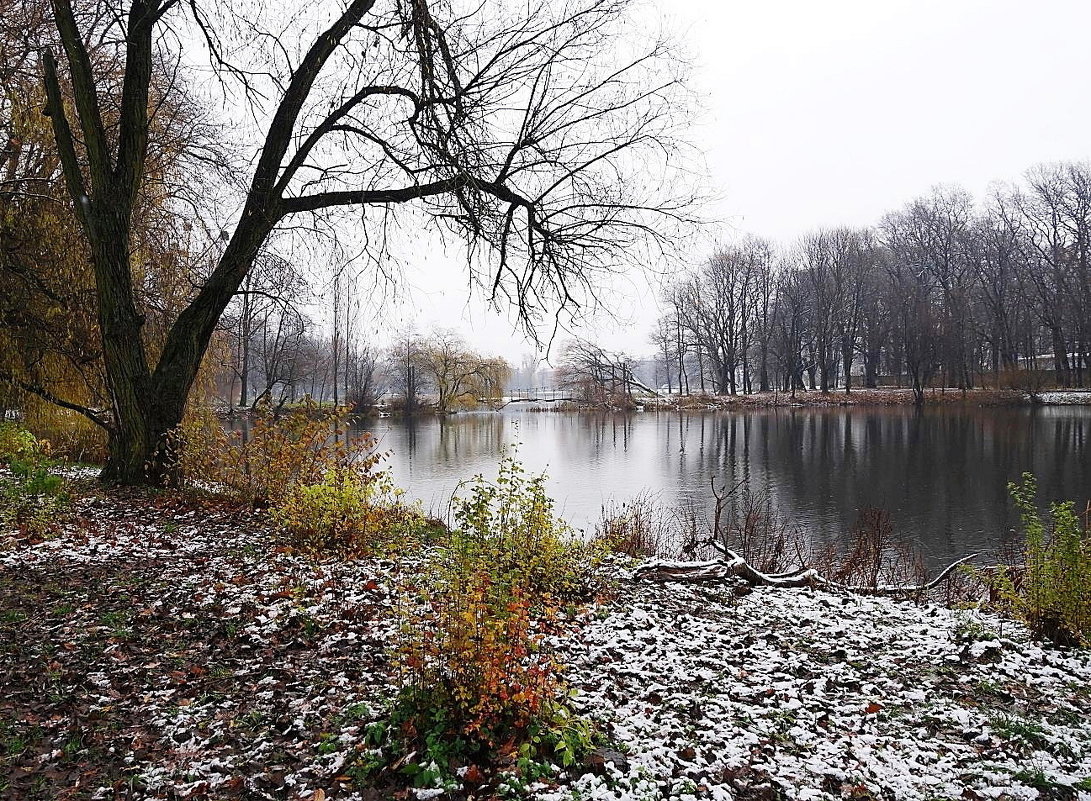 Первый день зимы в парке - Маргарита Батырева