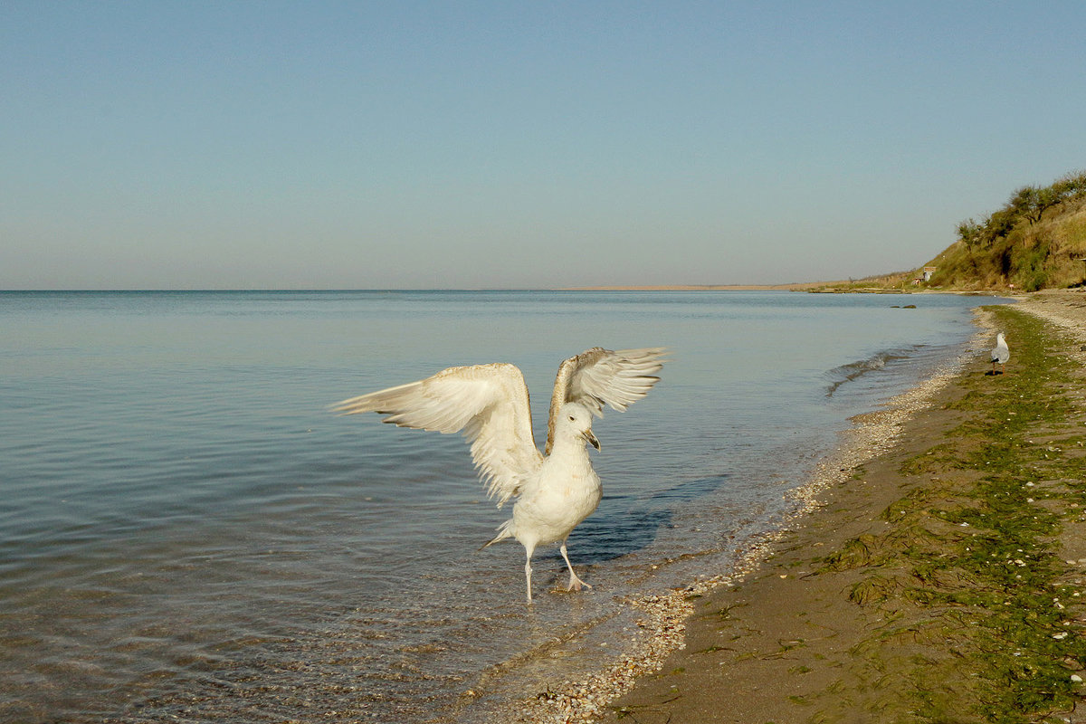 Фотомодель - Vladimir Bilyuk 