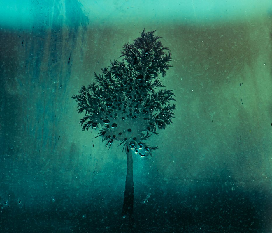 дерево из инея - Alexandr Staroverov