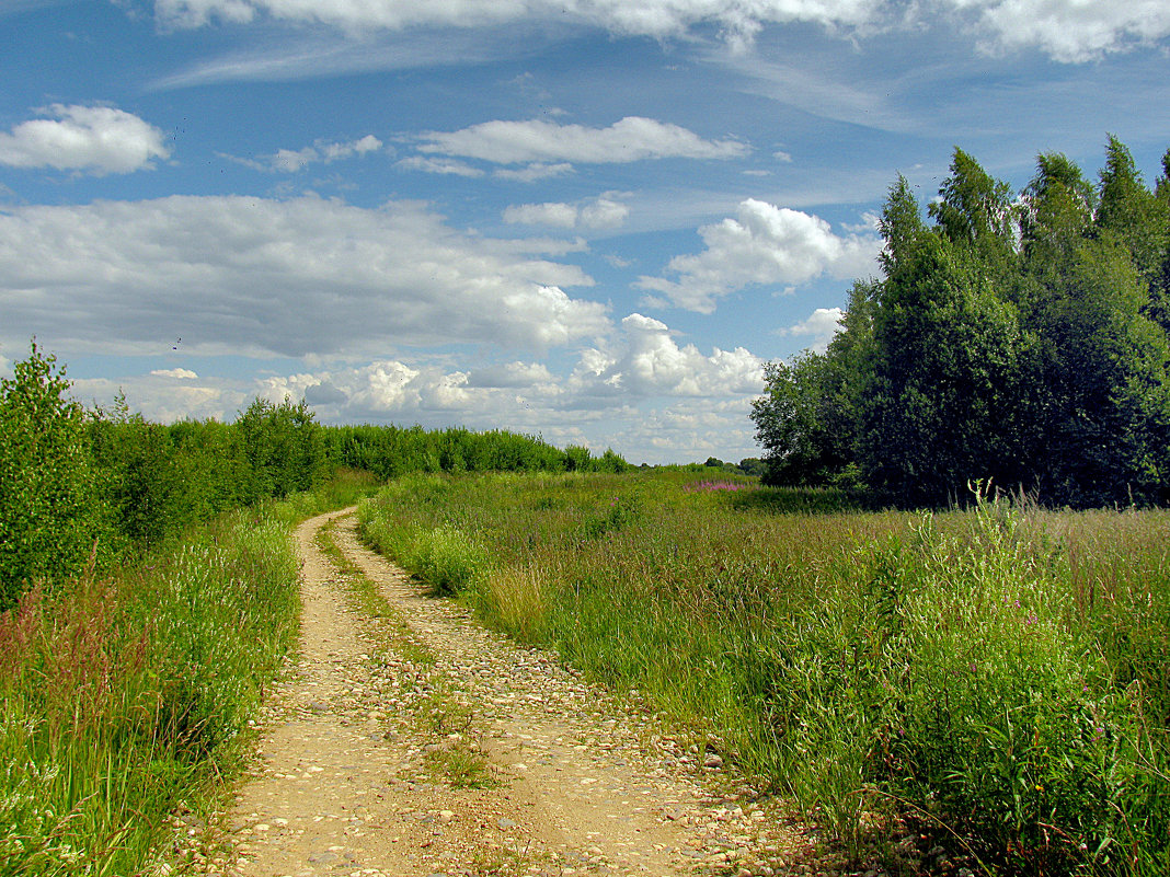 Дорога в деревню - Oleg S 