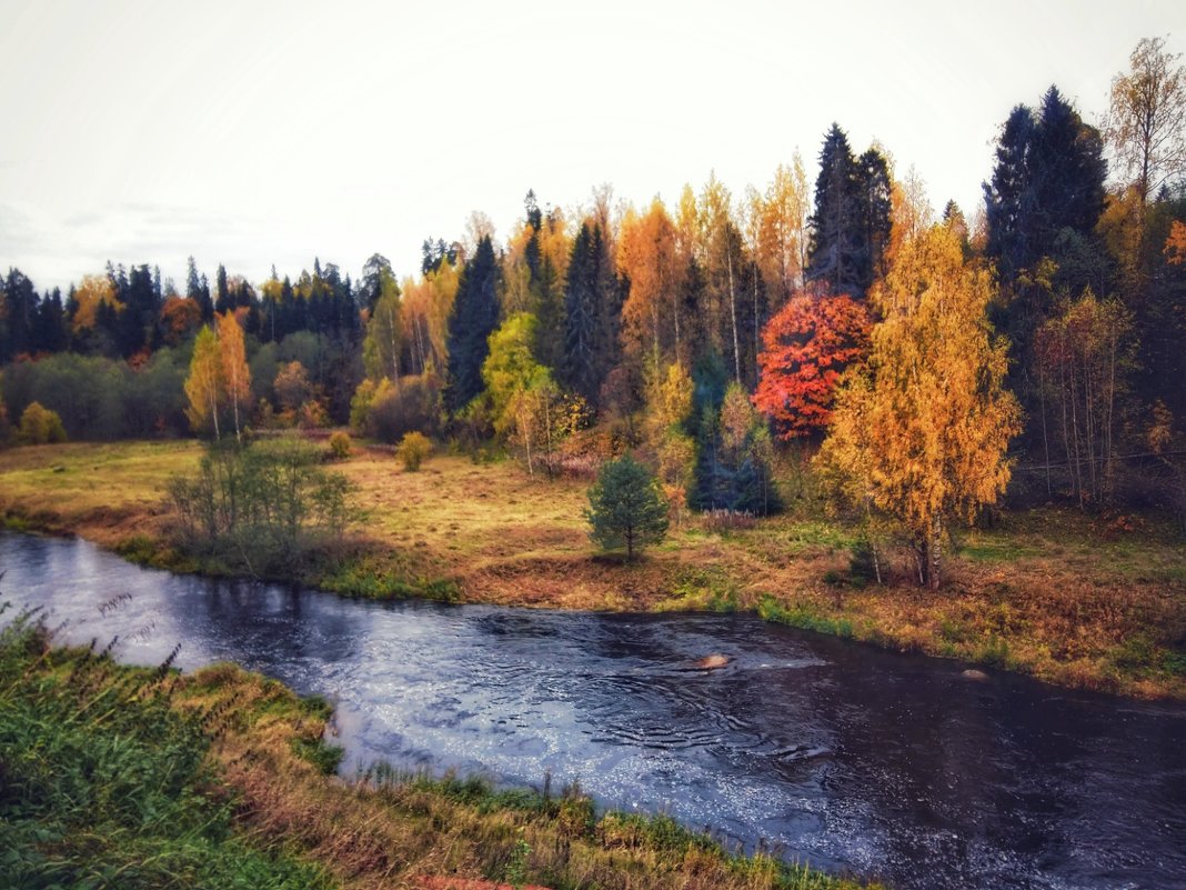 Осень у реки - Наталья Ерёменко