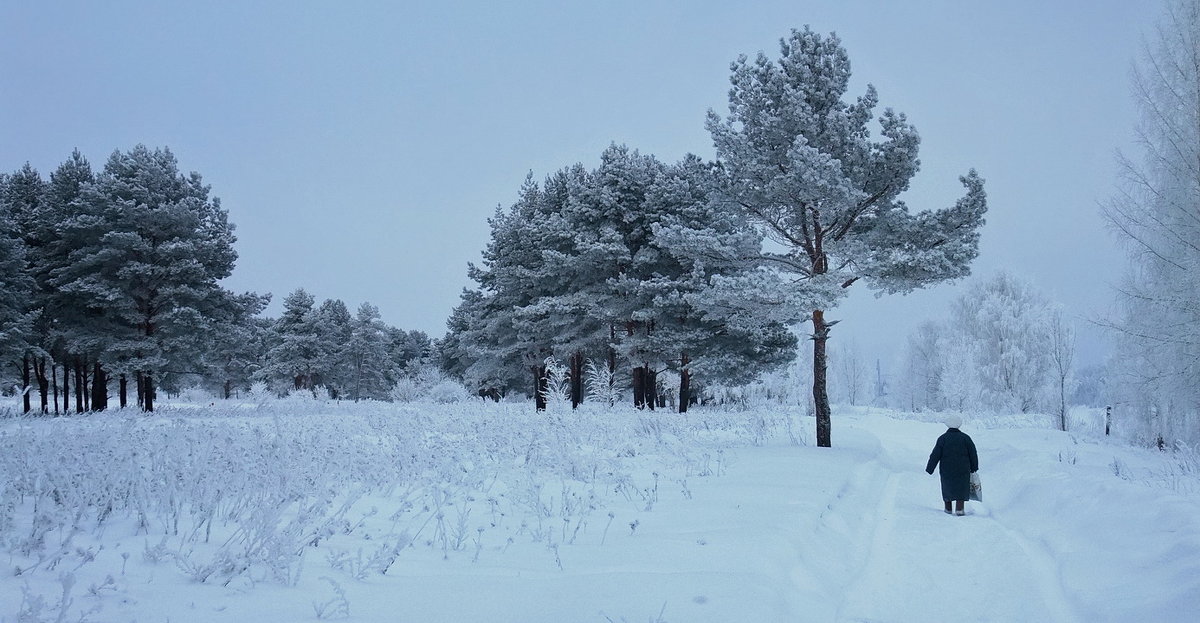 В заснеженном зимнем лесу - Николай Белавин