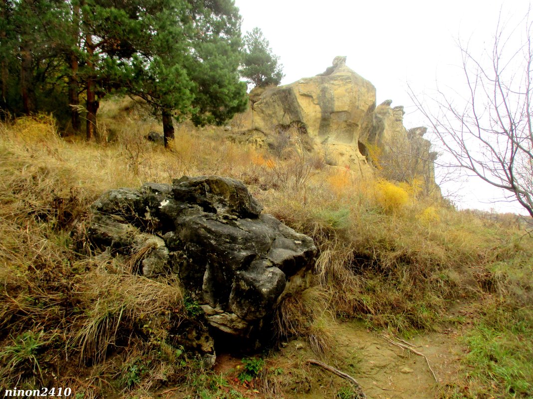 В Кисловодском курортном парке - Нина Бутко