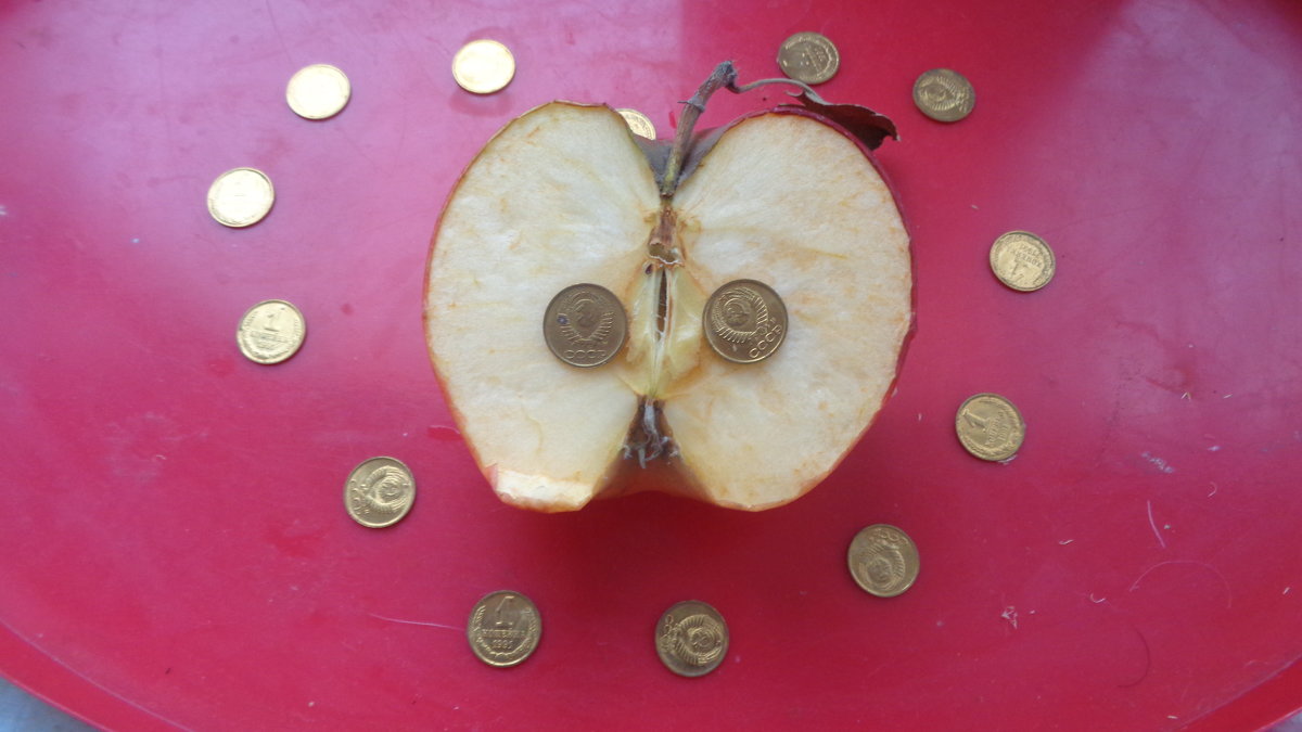 Гипотеза: яблоки в райском саду хранили зёрна-монеты СССР?!... - Алекс Аро Аро
