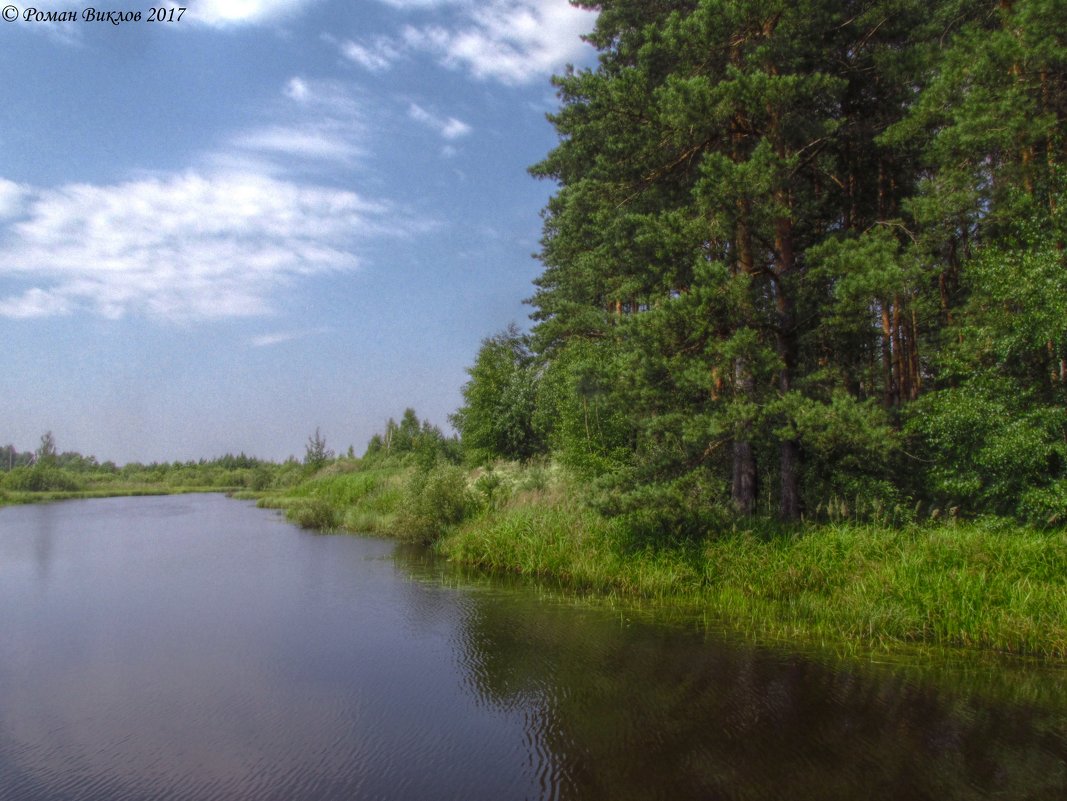 Мещёрский лес - Роман 