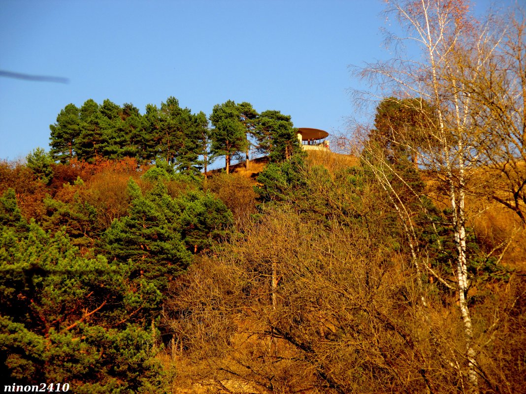 Сосновая гора в Кисловодском курортном парке - Нина Бутко