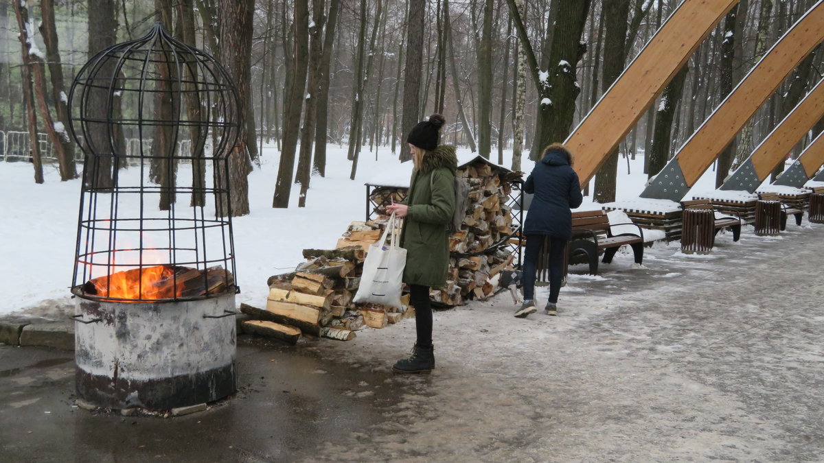 Можно лично разогреть или пожарить на  живом  огне в  парке! - Виталий Селиванов 