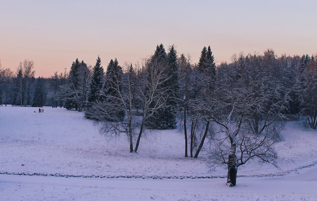 Зима в розовом свете.... - Tatiana Markova