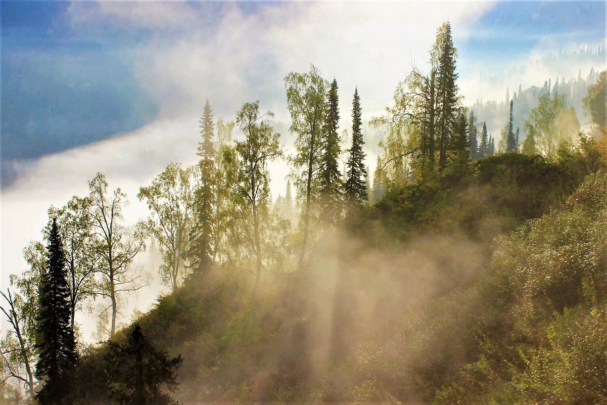 Туман поднимается в горы - Сергей Чиняев 