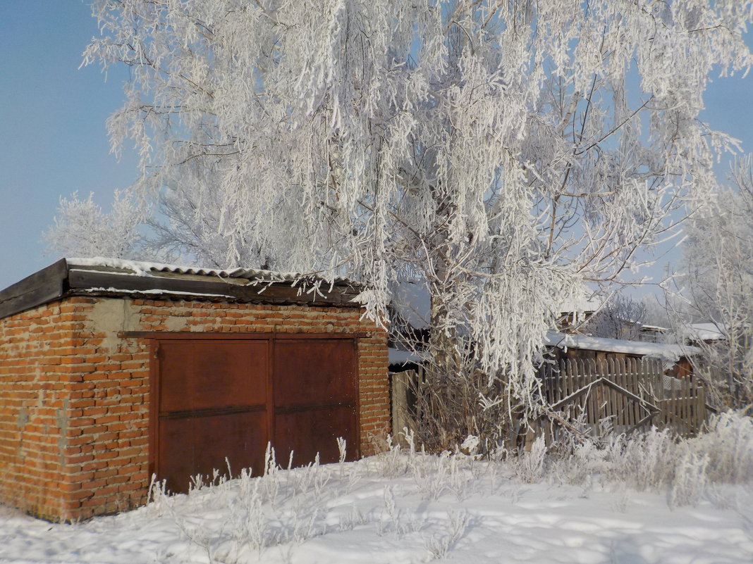 Морозный день - Ольга 