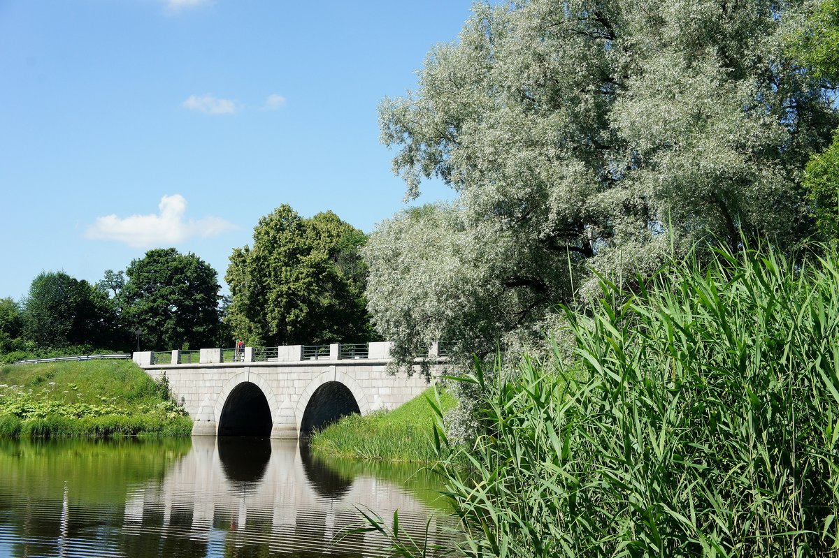 Большой каменный мост, разделяющий Мариентальский пруд и Дворцовую запруду на реке Славянка - Елена Павлова (Смолова)