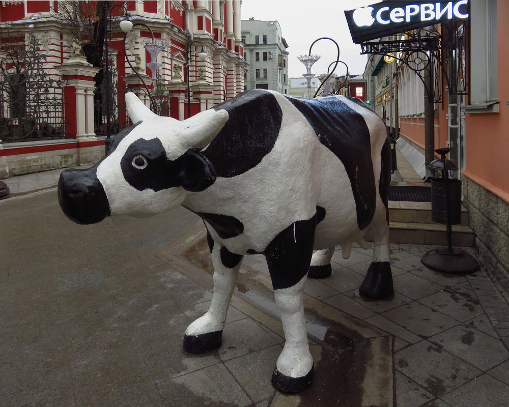 Городская корова - Андрей Лукьянов