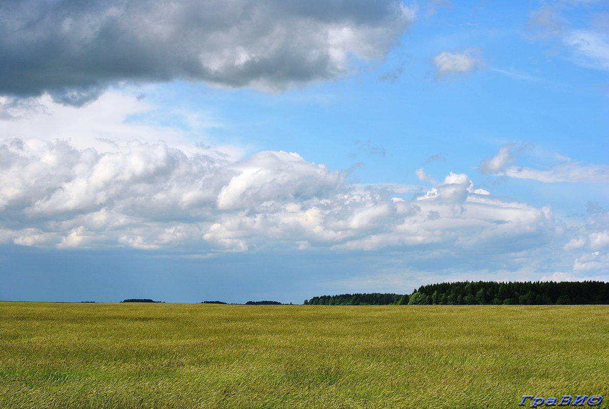 Жито. Небо. Беларусь - © ГраВИ