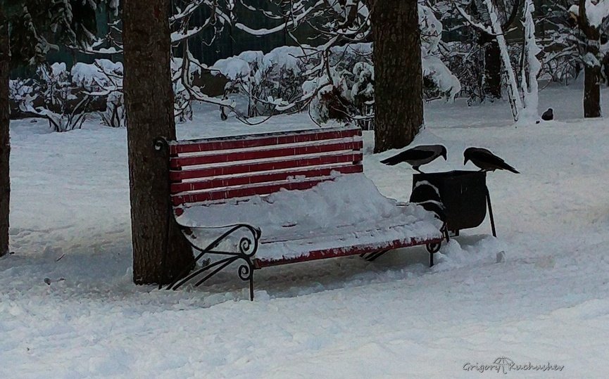 -Ну вот, дождалась -там уже ничего нет! - Григорий Кучушев