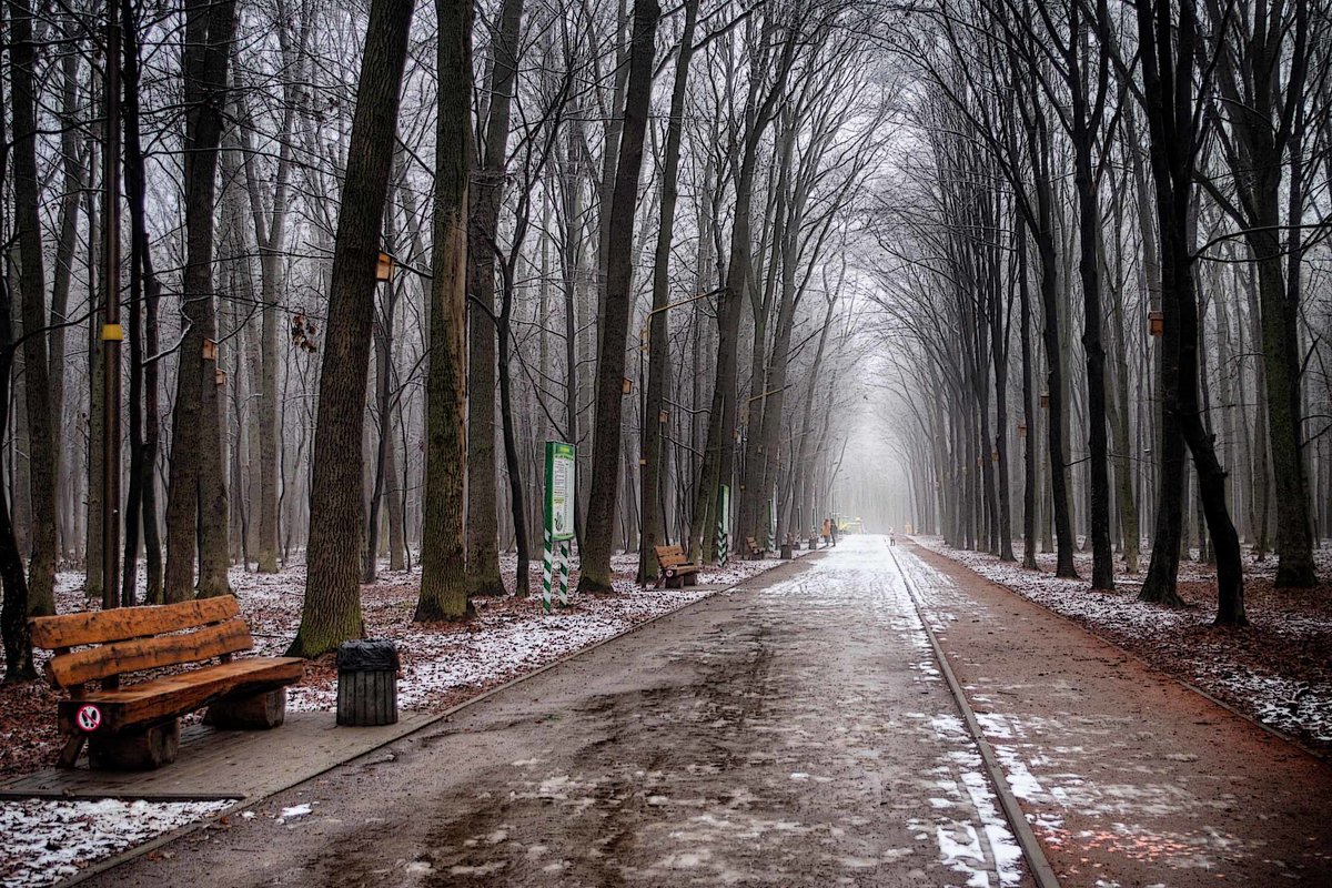 зима в городском парке - юрий иванов